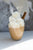 professional whipped cream dispenser ingredients